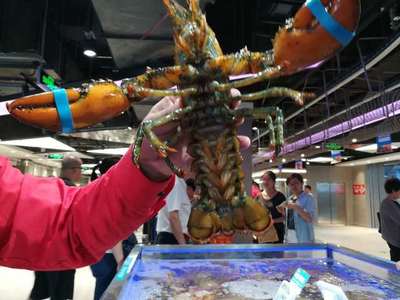 走馬觀花十里堡盒馬，新零售的水產品長啥樣？